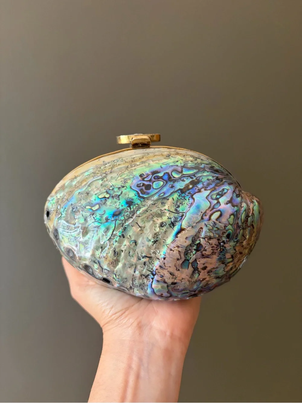 Abalone Shell Clutch Wristlet — Iridescent Blue-Green Metallic
